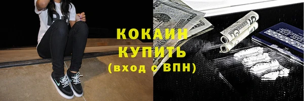 ГАЛЛЮЦИНОГЕННЫЕ ГРИБЫ Елабуга