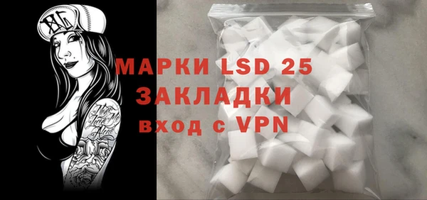 спайс Ельня