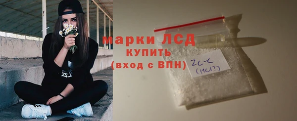ГАЛЛЮЦИНОГЕННЫЕ ГРИБЫ Елабуга