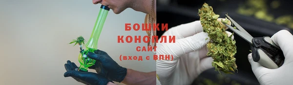 ГАЛЛЮЦИНОГЕННЫЕ ГРИБЫ Елабуга