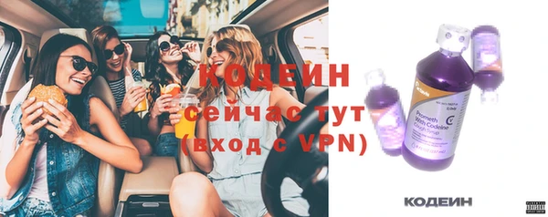ГАЛЛЮЦИНОГЕННЫЕ ГРИБЫ Елабуга