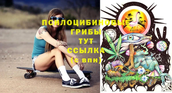 спайс Ельня