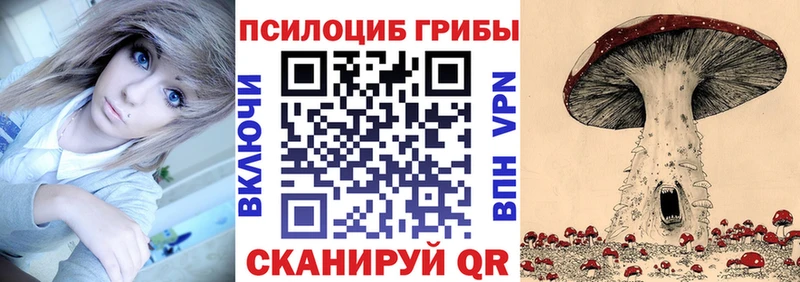 Галлюциногенные грибы Magic Shrooms  Тотьма 