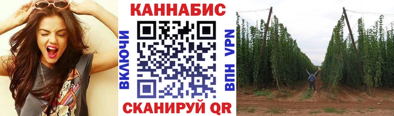 купить наркотик Тотьма Бошки марихуана конопля